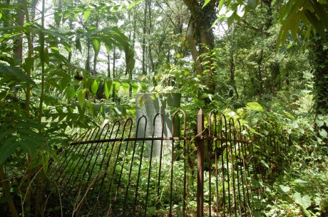 evergreen cemetery